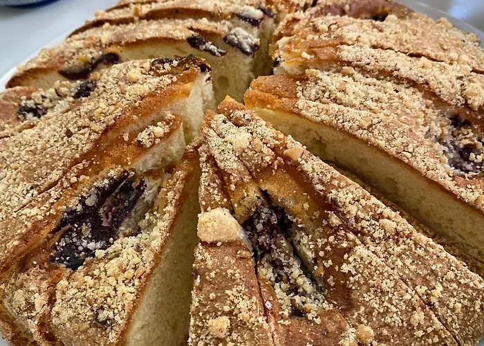 Spring מלון נפטון